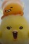 Nonton Film Gudetama: An Eggcellent Adventure Season 1 Episode 10 Bioskop21 Nonton Film Gudetama: An Eggcellent Adventure Season 1 Episode 10 Bioskop21