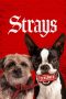 Nonton Film Strays (2023) Bioskop21 Nonton Film Strays (2023) Bioskop21
