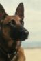 Nonton Film Fallout Season 1 Episode 7 Bioskop21 Nonton Film Fallout Season 1 Episode 7 Bioskop21