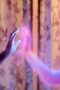 Nonton Film Marvel’s Runaways Season 1 Episode 4 Bioskop21 Nonton Film Marvel’s Runaways Season 1 Episode 4 Bioskop21