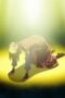 Nonton Film Arifureta: From Commonplace to World’s Strongest Season 3 Episode 5 Bioskop21 Nonton Film Arifureta: From Commonplace to World’s Strongest Season 3 Episode 5 Bioskop21