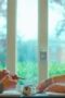Nonton Film Prisma Season 1 Episode 2 Bioskop21 Nonton Film Prisma Season 1 Episode 2 Bioskop21