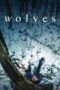 Nonton Film Wolves (2022) Bioskop21 Nonton Film Wolves (2022) Bioskop21