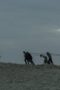 Nonton Film The Terror Season 1 Episode 10 Bioskop21 Nonton Film The Terror Season 1 Episode 10 Bioskop21
