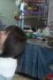 Nonton Film My Beloved Flower Season 1 Episode 11 Bioskop21