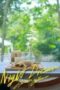 Nonton Film Night Dream Season 1 Episode 1 Bioskop21 Nonton Film Night Dream Season 1 Episode 1 Bioskop21