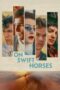 Nonton Film On Swift Horses (2025) Bioskop21 Nonton Film On Swift Horses (2025) Bioskop21