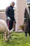 Nonton Film Doom Patrol Season 1 Episode 2 Bioskop21