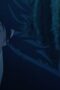 Nonton Film Sword of the Demon Hunter Season 1 Episode 4 Bioskop21 Nonton Film Sword of the Demon Hunter Season 1 Episode 4 Bioskop21